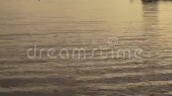 斜阳在波浪水面河流或湖泊上的眩光视频的预览图