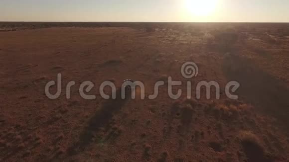吉普车沿着沙漠草原行驶视频的预览图