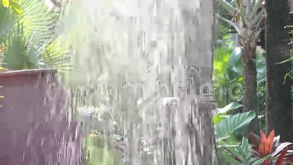 阵雨视频的预览图