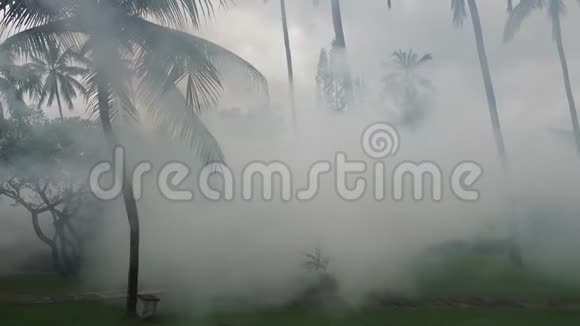 在热带国家的棕榈树林里抽烟害虫控制视频的预览图