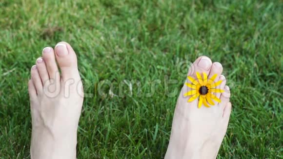 草地上有黄色花朵的女人脚视频的预览图