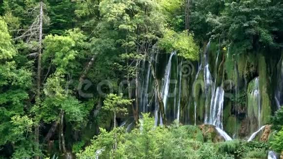 4K美丽的克罗地亚Plvice湖国家公园瀑布视频的预览图