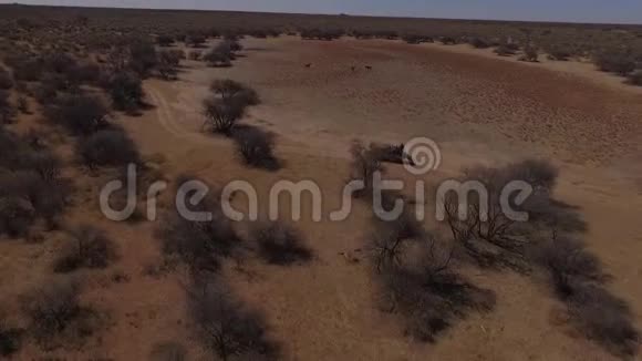 吉普车在大草原的一个大空地周围行驶视频的预览图