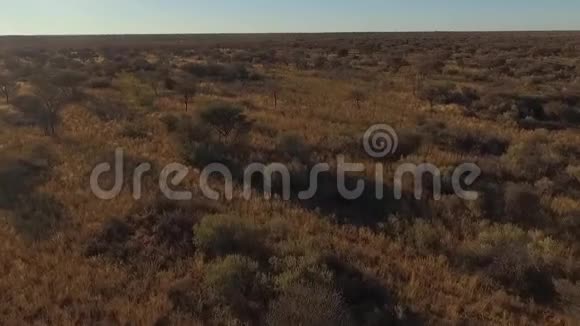 无人机可以从上面看到大草原视频的预览图