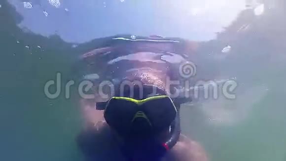 浮潜和海藻视频的预览图