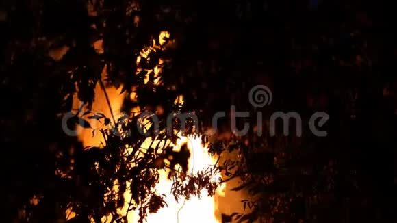 丛林火区夜间燃烧大量烟雾上升到空中视频的预览图