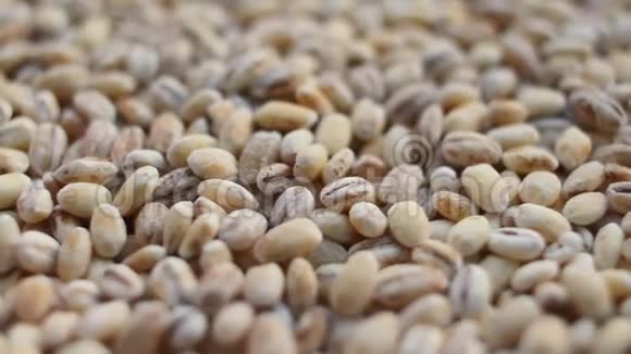 珍珠大麦颗粒堆的缓慢旋转视频的预览图