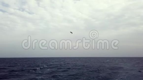 游艇在公海上航行帆船游艇视频航行录像在刮风的日子打游艇游艇帆船视频的预览图