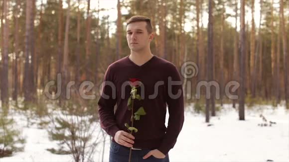 冬林中一个红玫瑰的人慢动作视频的预览图