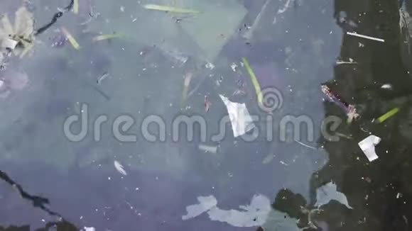 漂浮在海上的塑料袋和其他污染废物视频的预览图