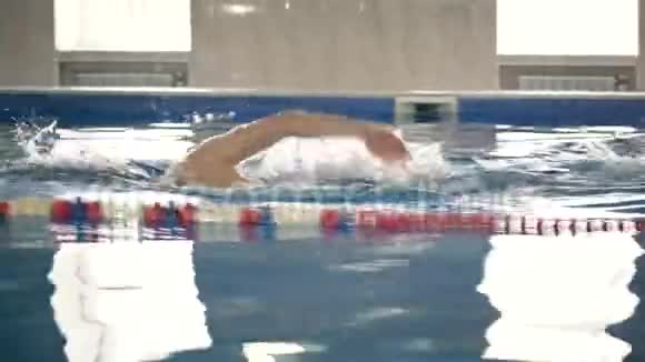 美丽的专业游泳运动员在游泳池里游泳摄像机拍摄视频的预览图