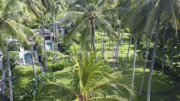 从棕榈树无人驾驶飞机俯瞰印度尼西亚巴厘岛度假胜地热带的海洋和游泳池视频的预览图