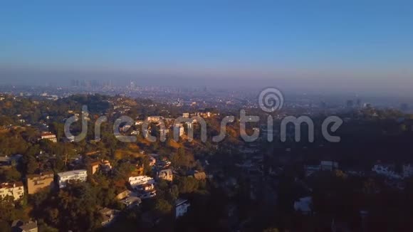 美丽的洛杉矶地区长长的手掌在路边视频的预览图