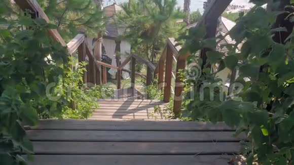 背景有棕榈树和木制楼梯视频的预览图