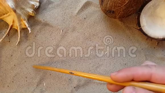 用贝壳和椰子在沙滩上写夏天这个词视频的预览图