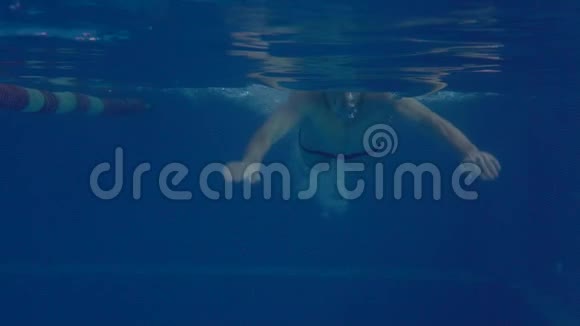 美丽的专业游泳运动员在泳池里用丰富的蓝水打蝴蝶视频的预览图