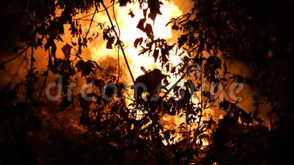 丛林火区夜间燃烧大量烟雾上升到空中视频的预览图