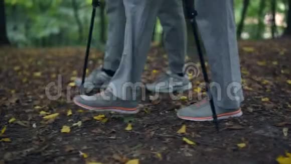 在森林里散步的运动人士的低角度视角视频的预览图