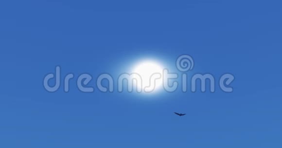 老鹰飞越太阳光太阳光和太阳耀斑云天堂场景视频的预览图