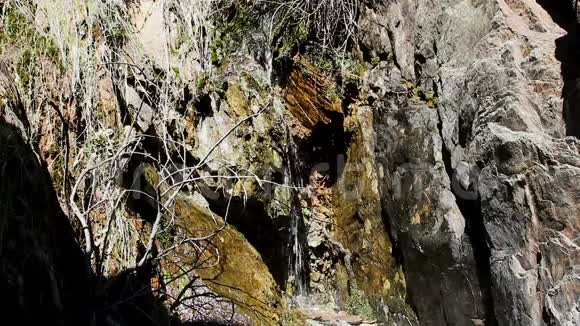 落在岩石和植物中的小涓滴视频的预览图