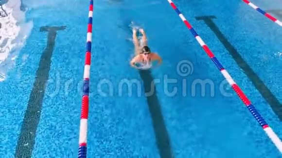 专业的女游泳运动员在游泳池里空中观景4K视频的预览图