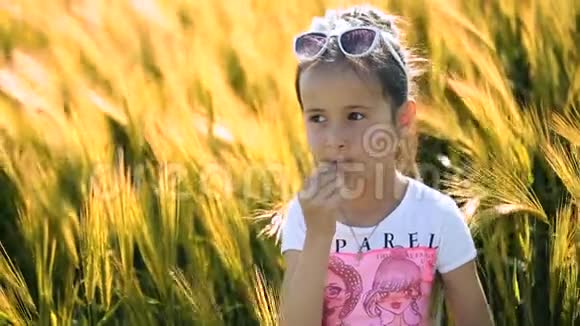 小女孩深褐色的拉丁语从小穗尝出绿色的幼粒它在麦田里视频的预览图
