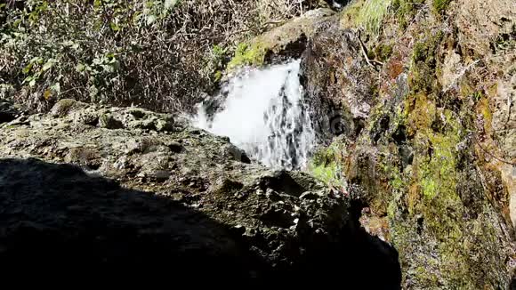 在岩石和植物中快速移动的小溪流视频的预览图
