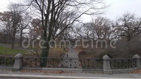 轻松漫步纽约中央公园视频的预览图