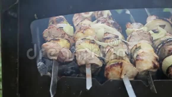 肉串上的肉烧烤架上的肉大自然中的什什烤肉串烧烤的录像在滑块上有摄像头移动视频的预览图