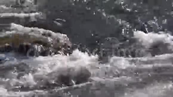 阿尔泰河乌苏尔河石质河道上的水流视频的预览图