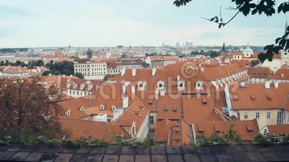 布拉格城堡花园的全景视频的预览图