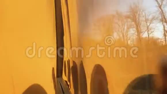 巴士从窗口观看森林夏季大公共汽车沿着森林道路行驶旅游巴士铺设沥青视频的预览图