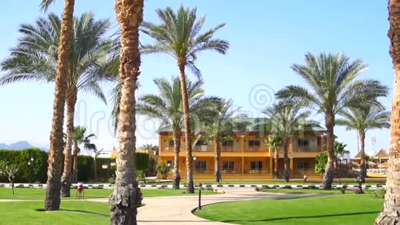 公园有棕榈树和小房子视频的预览图