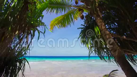法属波利尼西亚带球虫的热带海滩视频的预览图