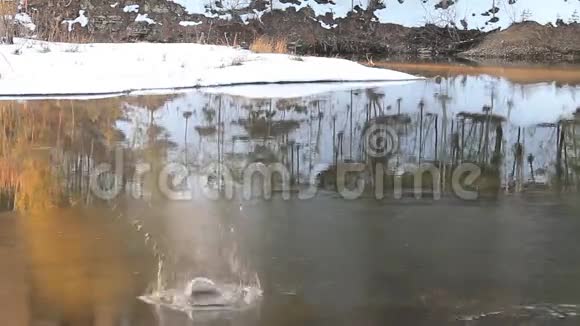 湖边的雪视频的预览图