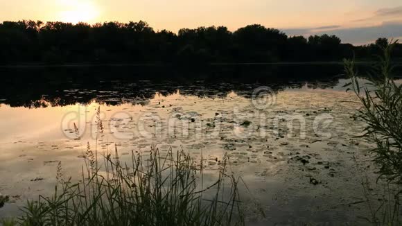 日落时湖中天空的彩色倒影视频的预览图