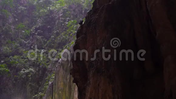 在马来西亚有一个巨大的巴图洞穴里面有一座印度教神庙视频的预览图