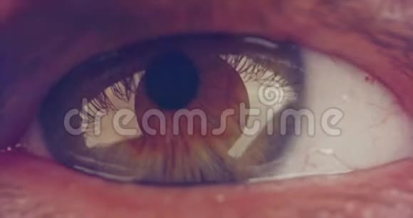一只棕色人眼的极端大镜头视频的预览图
