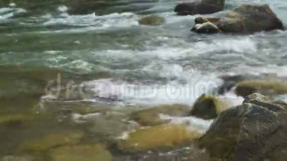 夏日美丽的山河特写黑谢尔莫什乌克兰快速流动的水和岩石视频的预览图