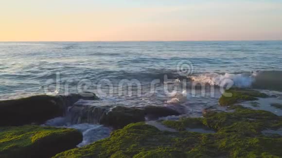 波浪溅落在长满绿藻的岩石上视频的预览图