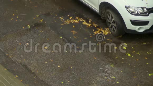 秋天的雨天路面上的水坑在人行道上视频的预览图