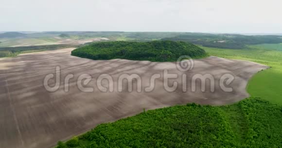 美丽的空间景观田野上神秘的绿树岛的鸟瞰图视频的预览图