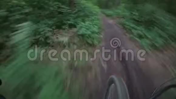 在黑暗的森林里沿着小径骑自行车视频的预览图