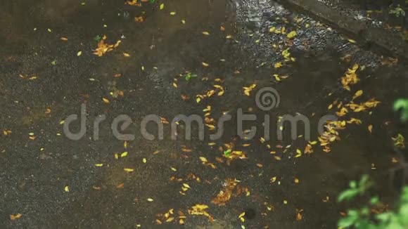 雨天人行道上的水坑秋天视频的预览图