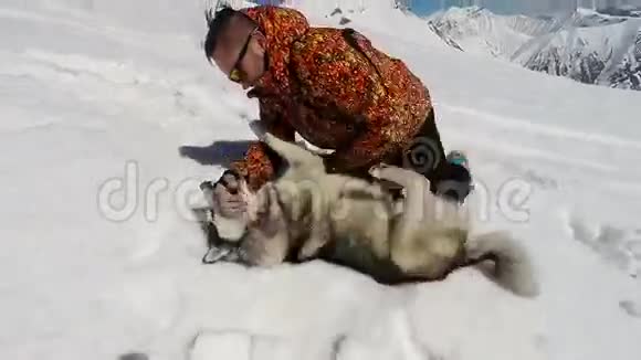男人在雪地里玩哈士奇狗视频的预览图