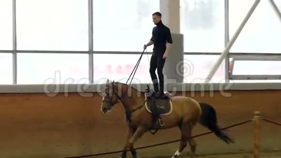 一个人骑着一匹棕色的马在竞技场周围人在马背上表演技巧你的过失玩把戏骑马视频的预览图