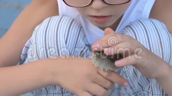 孩子们抓住了麻雀看着它们的手尊重自然和动物的概念视频的预览图
