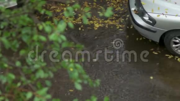 秋天的雨天路面上的水坑在人行道上视频的预览图