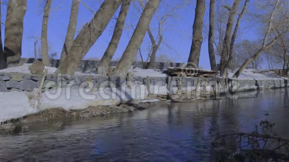 河岸上平静的小溪视频的预览图
