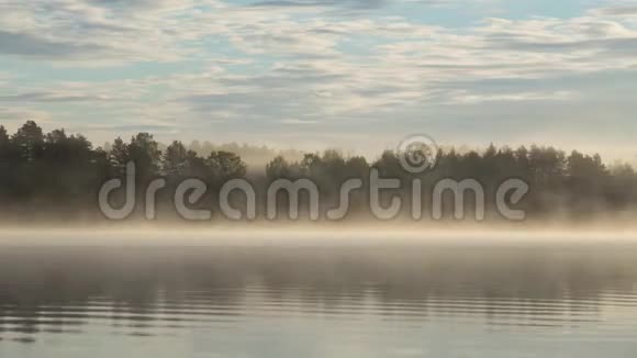 莫格在日出时分沿着湖面爬行视频的预览图